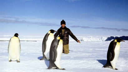 Как побывать в Антарктиде