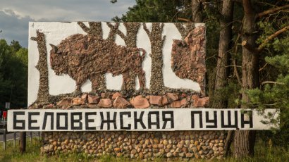 Мы к тебе приезжаем, Беловежская пуща! Что посмотреть в главном заповеднике Беларуси