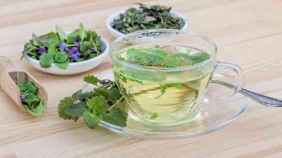 14 трав, которые помогут успокоиться