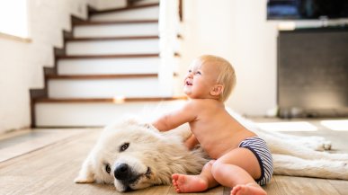 Домашнее животное в жизни ребёнка: друг, учитель или лишняя головная боль?