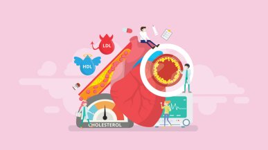 Как нормализовать уровень холестерина?