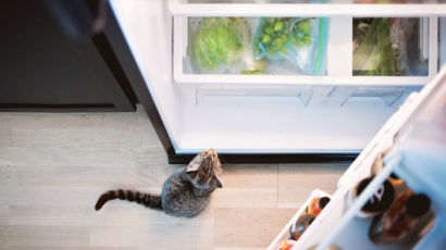 Как выбрать холодильник, чтобы не переплачивать