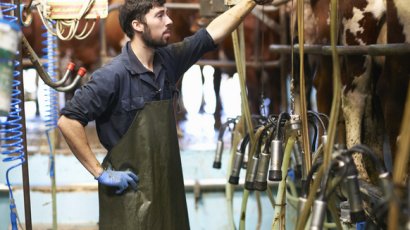 Какие бывают молочные продукты и как их делают?