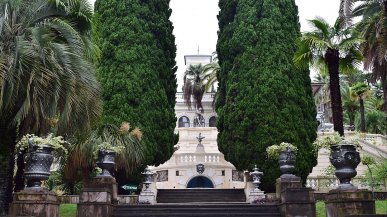 Сочинский Дендрарий: дом для растений со всех материков