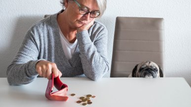 С кого и как требовать компенсацию за нападения собак