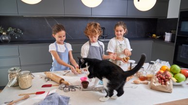 Чем нельзя кормить домашних кошек и собак?