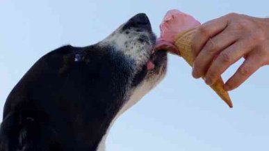 Какие пищевые привычки самые полезные?