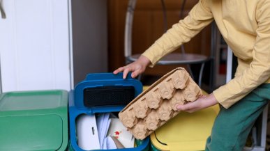 Экологические привычки для детей: как воспитать любовь к природе с ранних лет