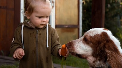 6 вопросов о том, чем кормить кошек и собак