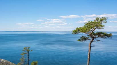 И всё-таки он не пресный! Интересное о Финском заливе для туристов