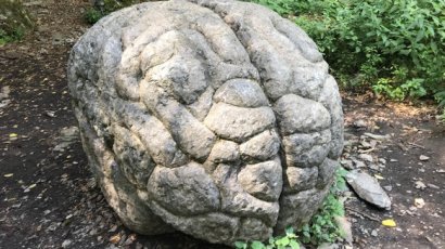 Как стать (еще) умнее?