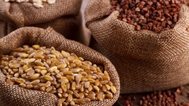 Какие гарниры из круп самые полезные?