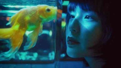 Как создать дома красивый аквариум?