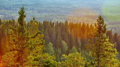 Горы в Карелии: самые высокие, красивые и необычные вершины