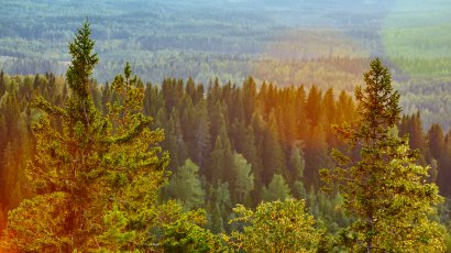 Горы в Карелии: самые высокие, красивые и необычные вершины
