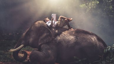 Как привить интерес к книгам, если ребёнок не любит читать?