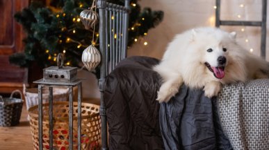 Как сделать квартиру уютной?