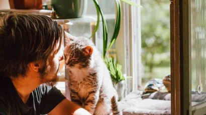 Кошки какой породы специально веселят хозяина?