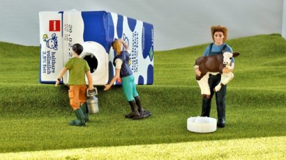 Каким бывает молоко?