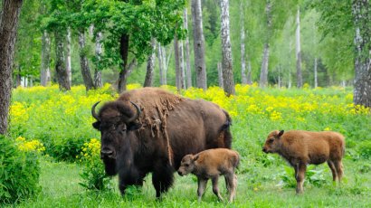 15 достопримечательностей Московской области, где интересно провести выходные