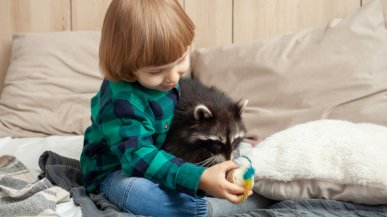 Какое животное завести семьям с детьми?