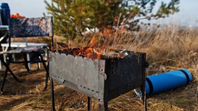 Чем пообедать на пикнике?