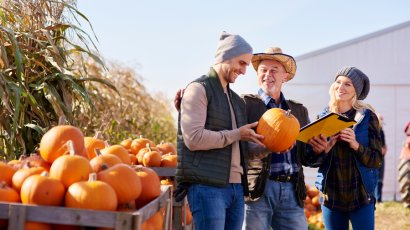 Чем полезна тыква?