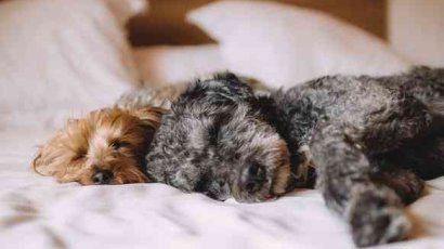 Три главных вопроса про матрасы