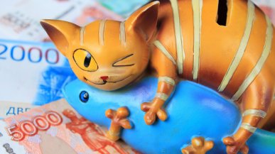 14 млрд рублей в год или 38 млн ежедневно – столько россияне перевели в 2022 году мошенникам