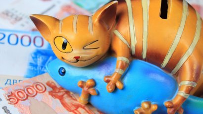 14 млрд рублей в год или 38 млн ежедневно – столько россияне перевели в 2022 году мошенникам