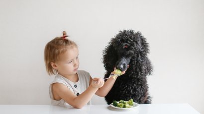 Как начать правильно питаться?