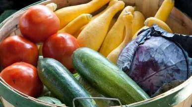 Какие овощи должны быть в рационе