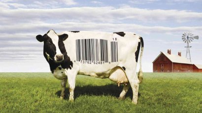 3 фильма о еде, которые нужно посмотреть каждому