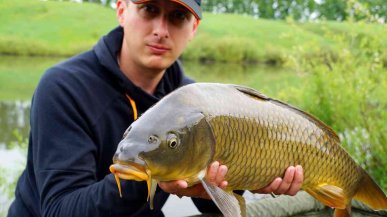 Бойлы на карпа своими руками