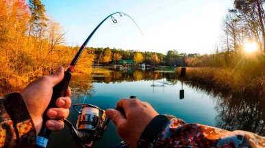 Прикормка для карася своими руками