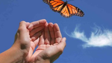 Как отпустить прошлое и начать жить настоящим