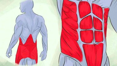 Как укрепить мышечный корсет