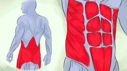 Как укрепить мышечный корсет