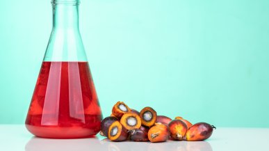 В каких конфетах не содержится пальмовое масло?