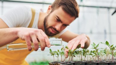 Как стать вегетарианцем и зачем?