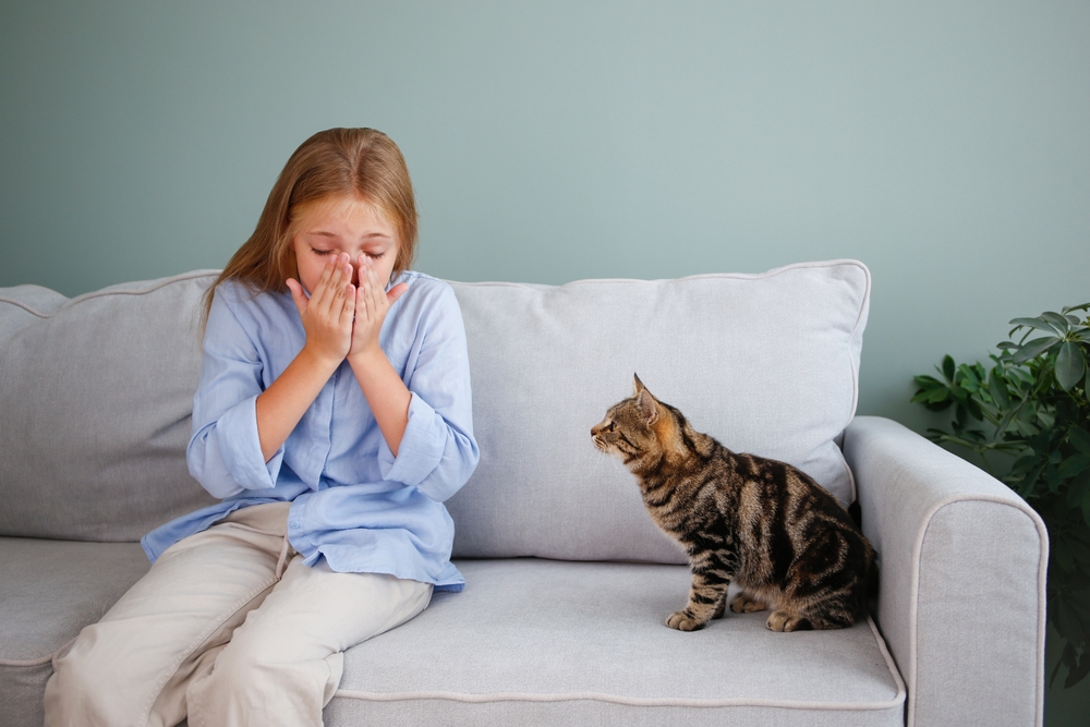 У ребенка аллергия на кошку