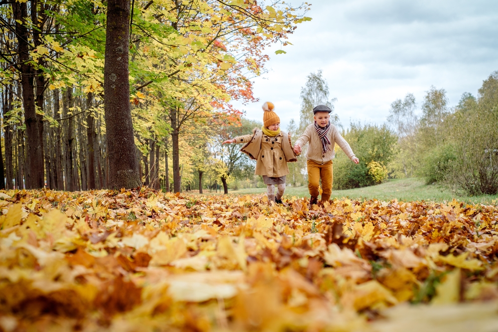 Чем занять детей осенью: Топ-5 уличных активностей