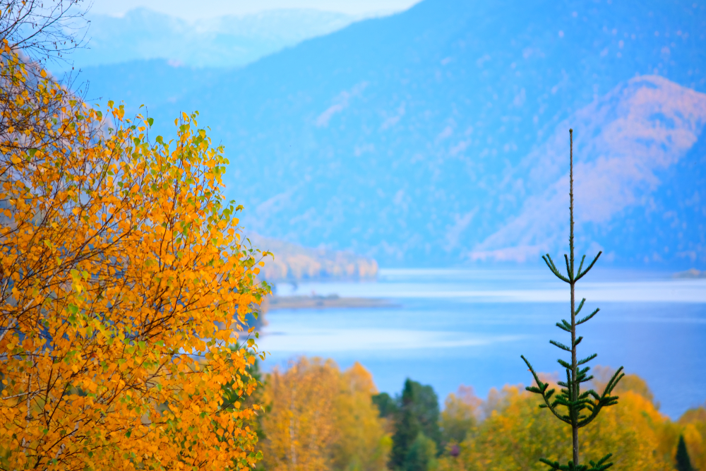 Осень на Телецком озере, Алтай
