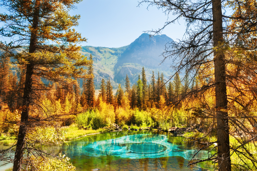 Гейзерное озеро на Алтае