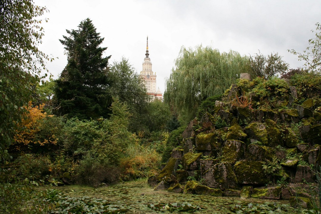 Фото альпинария в ботаническом саду МГУ