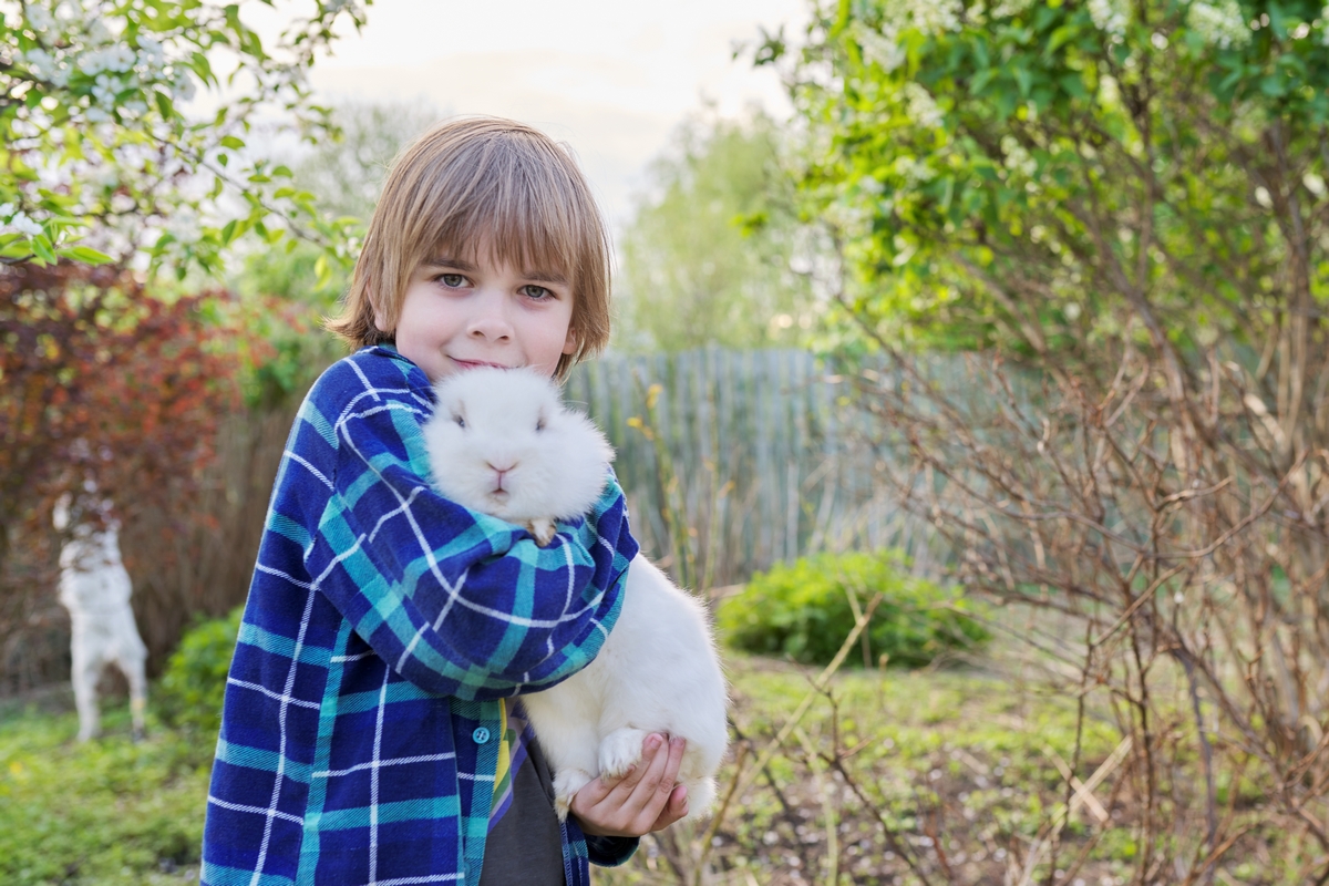 Мальчик держит белого кролика
