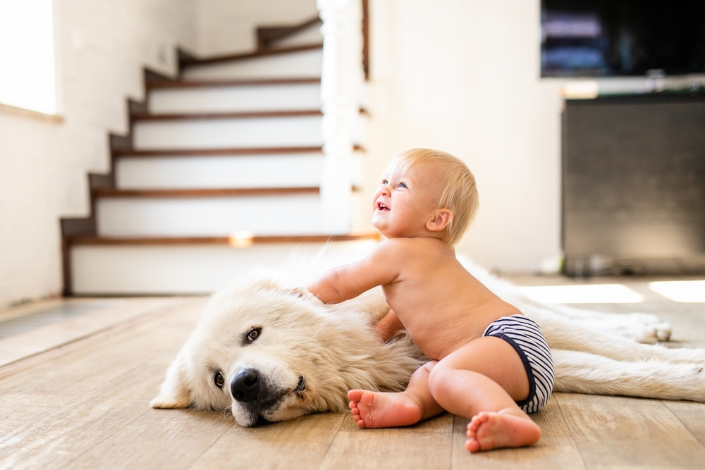 Домашнее животное в жизни ребёнка: друг, учитель или лишняя головная боль?