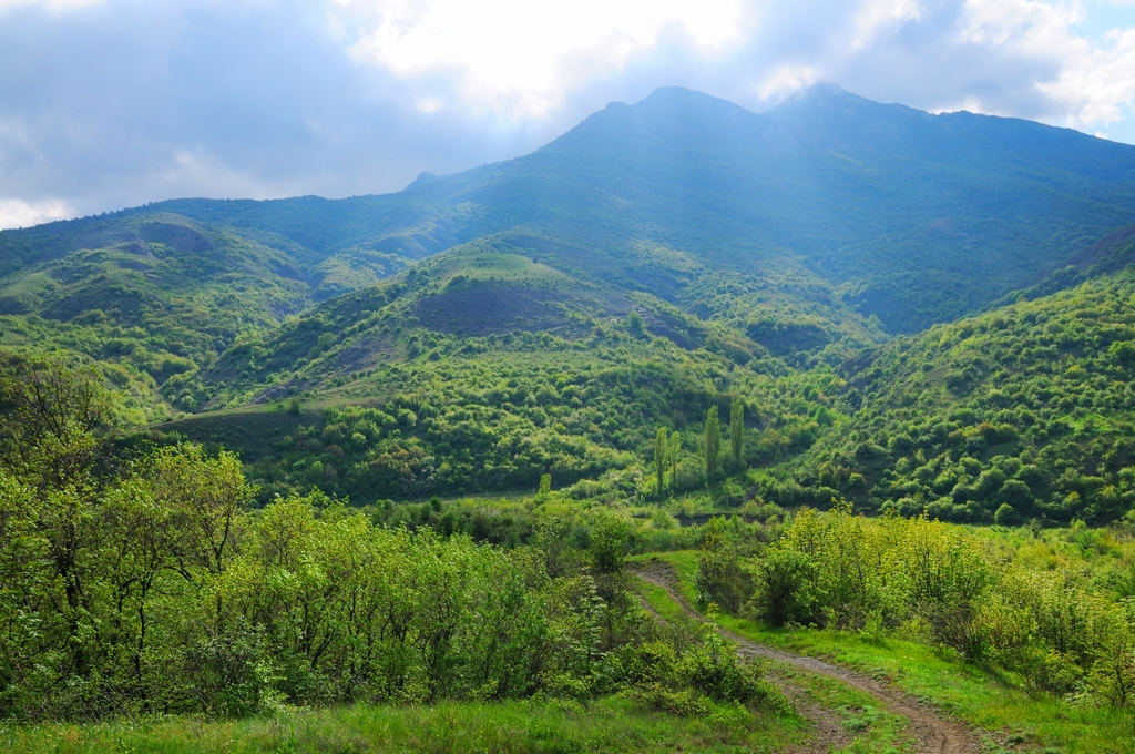 Крымские горы, покрытые лесами