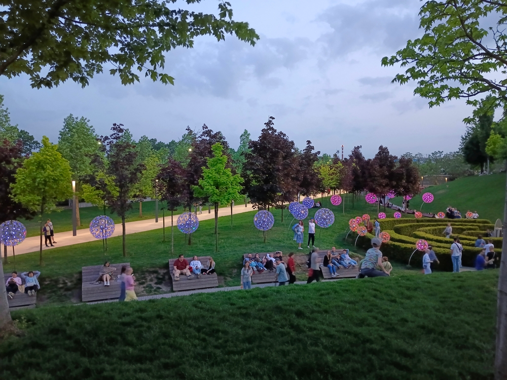 Одуванчики в городском парке Краснодара