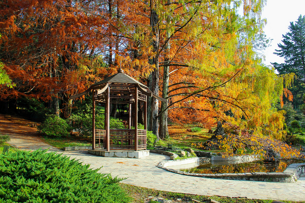 Японский сад в Дендрарии, Сочи